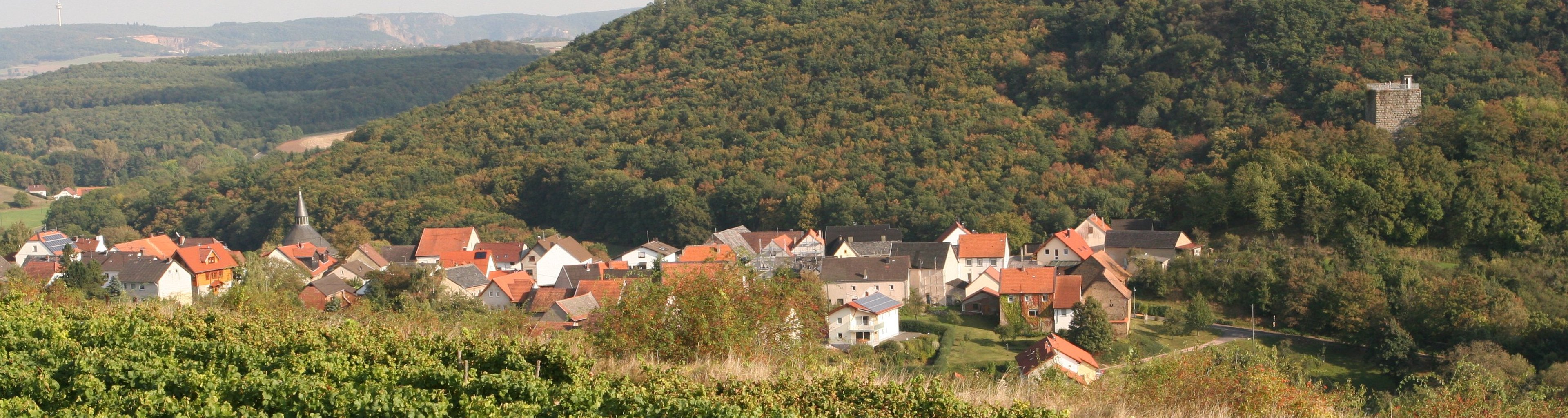 Burgsponheim | Verbandsgemeinde Rüdesheim